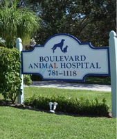 Boulevard Animal Hospital - 1