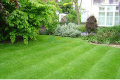 Evergreen Sprinkler and Landscaping Services